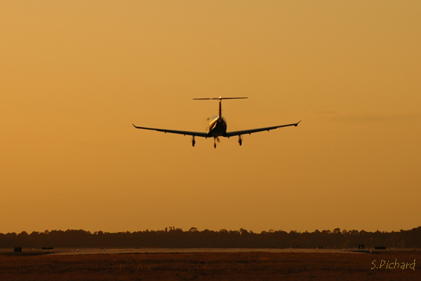 Avion